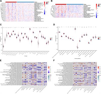 The identification of metabolism-related subtypes and potential treatments for idiopathic pulmonary fibrosis